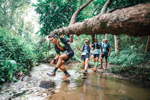 BIB: 
                            <button type="button" onclick="openModal(25368761)" class="btn btn-primary btn-sm float-right btn-popup" data-toggle="modal" data-target=".modal-high-quality">
                        <i class="fas fa-shopping-cart"></i> Add to Cart
                    </button>
                                            <button type="button" onclick="isThisMe(25368761, true)" class="btn btn-success btn-sm float-right btn-popup btn-isme hidden" data-toggle="tooltip" data-placement="bottom" title="นี่คือรูปของคุณใช่ไหม คลิกที่นี่เพื่อเอาเข้าอัลบั้ม">
                        <i class="fas fa-plus"></i> Add to album
                    </button>
                    <button type="button" onclick="isThisMe(25368761, false)" class="btn btn-warning btn-sm float-right btn-popup btn-isnotme hidden">
                        <i class="fas fa-ban"></i> Remove from album
                    </button>